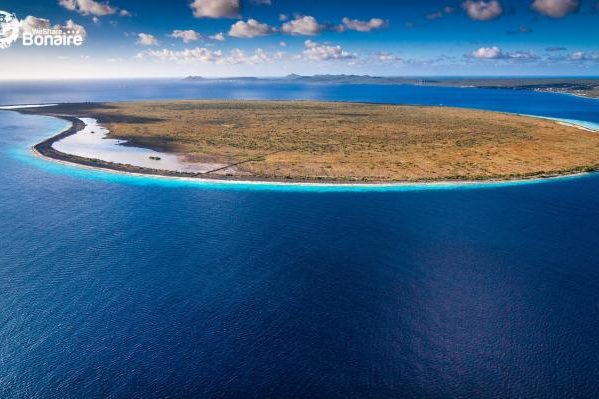 Lees snel alle duikplekken die te vinden zijn bij Klein Bonaire!