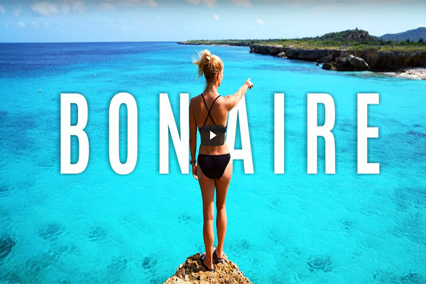 The top 7 must see's in Bonaire you did not know that exist!