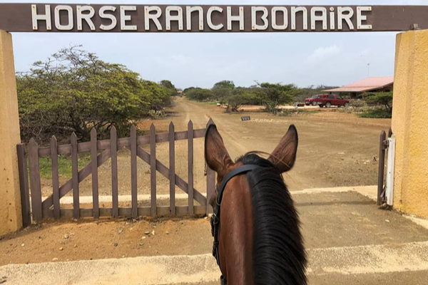 Horse Ranch Bonaire