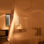 Dim lit room mosquito net nos shelu
