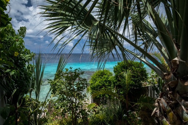 Lees meer over over verschillende activiteiten en restaurants om je vakantie op Bonaire perfect te beginnen